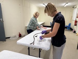 Volunteers wrapping objects in preparation for the move.