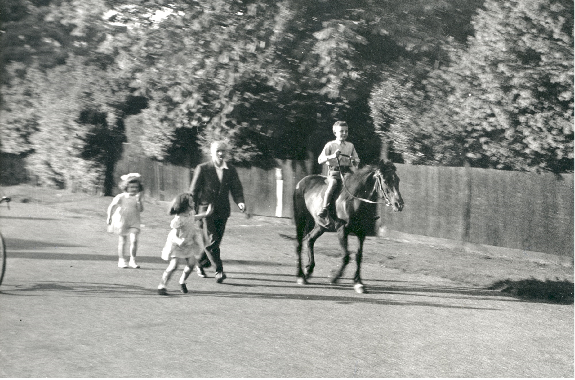 An image of a young boy riding a pony