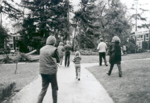 Crowds looking at a fallen cedar tree in Templemere, Weybridge, after the Great Storm of 1987.
