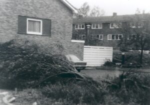 The Hurst Park Estate, East Molesey, after the Great Storm of October 1987.