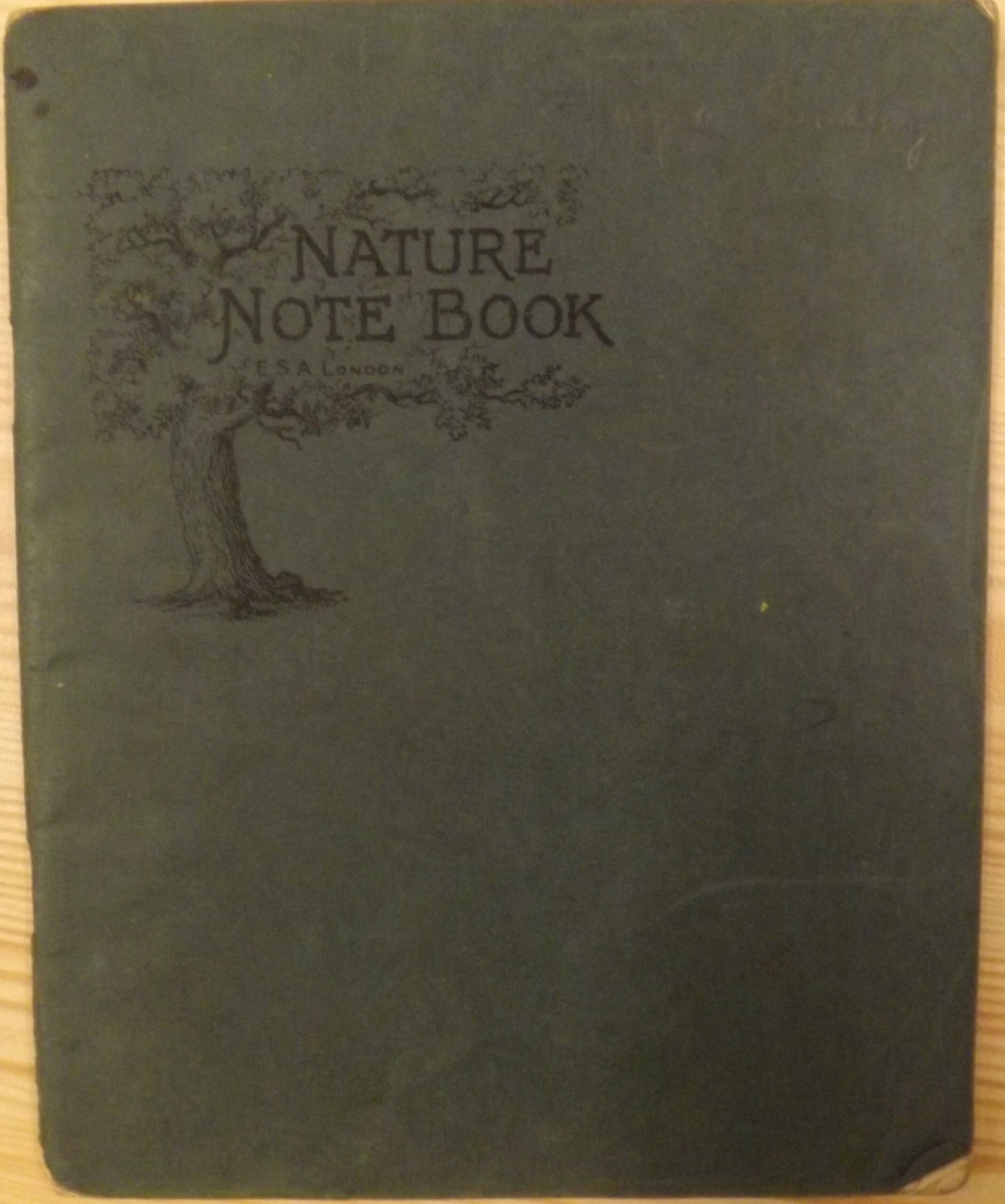 Joyce Anstey's 'Nature Note Book', the Hall School, Weybridge c.1930s.