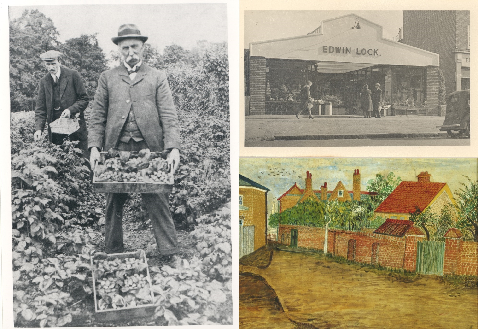 Photograph of Edwin Lock and his father Albert at the nursery, photograph of Edin's shop with people outside, Edwin's painting of Springfield Lane