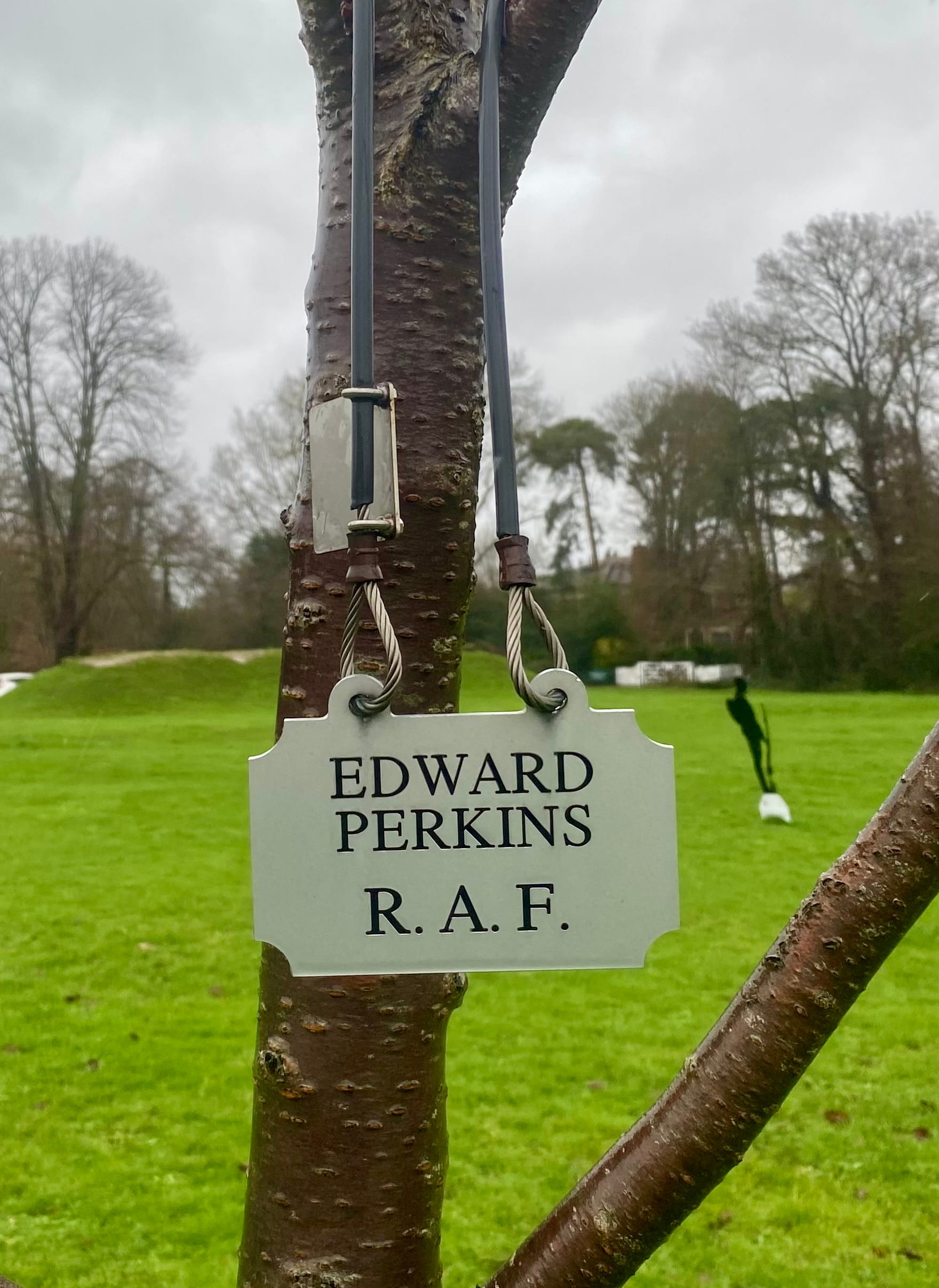 Edward Perkins' cherry tree on The Avenue of Remembrance in Cobham